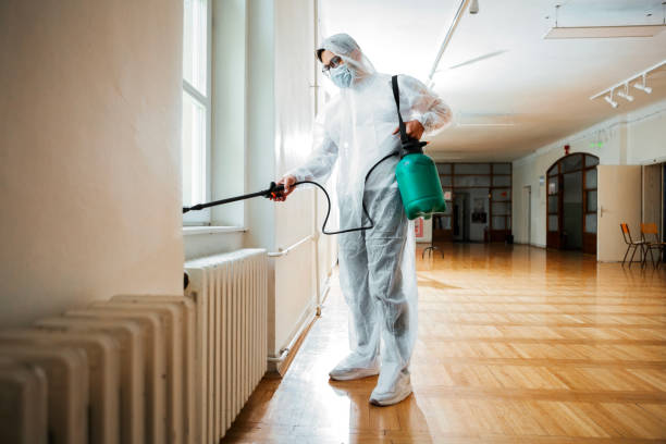 Best Pest Control Treatment  in Steep Falls, ME